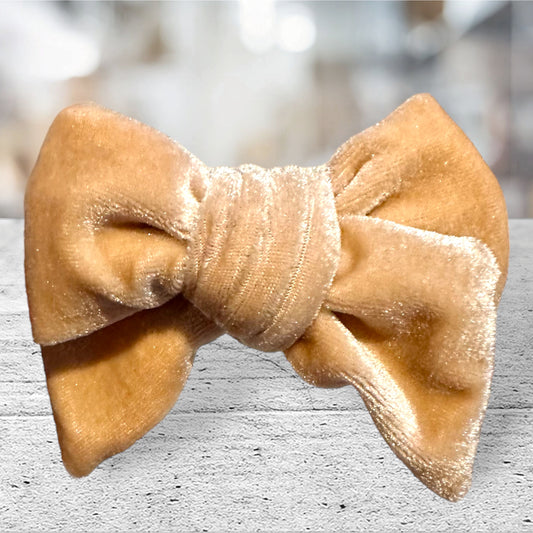 Teddy Brown Velvet Bow- Small