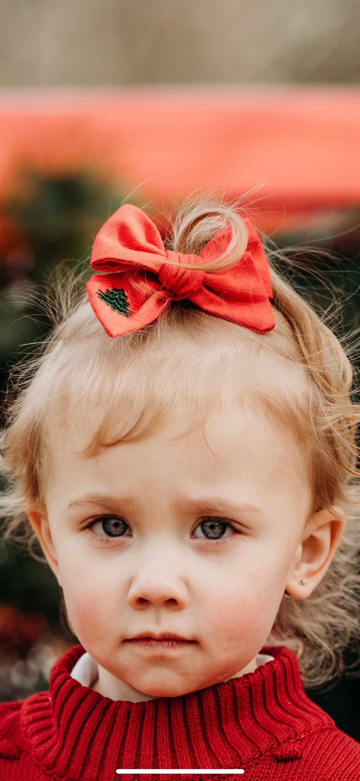 Red Bow / Green Tree